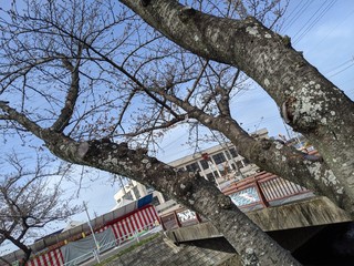 IMG_20210319_143148.jpg
