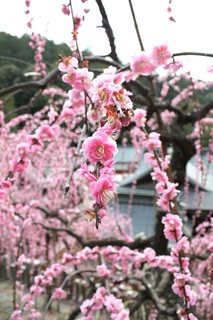 img_4_m.jpg